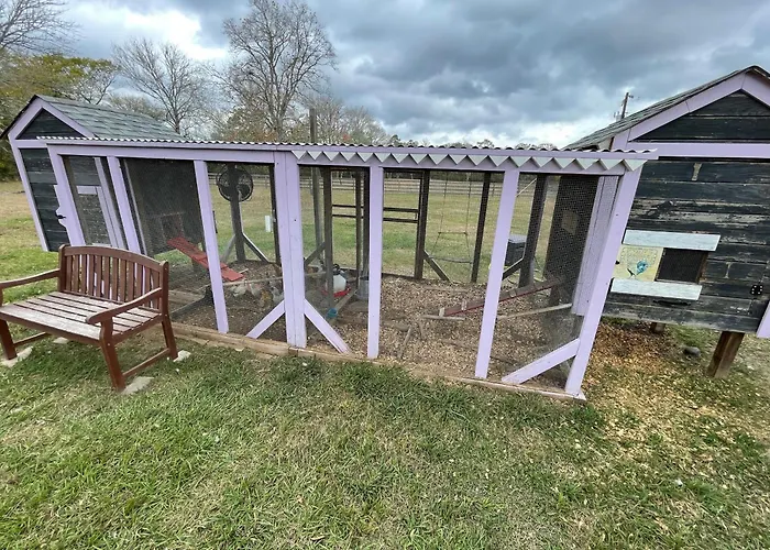 Country Oasis B